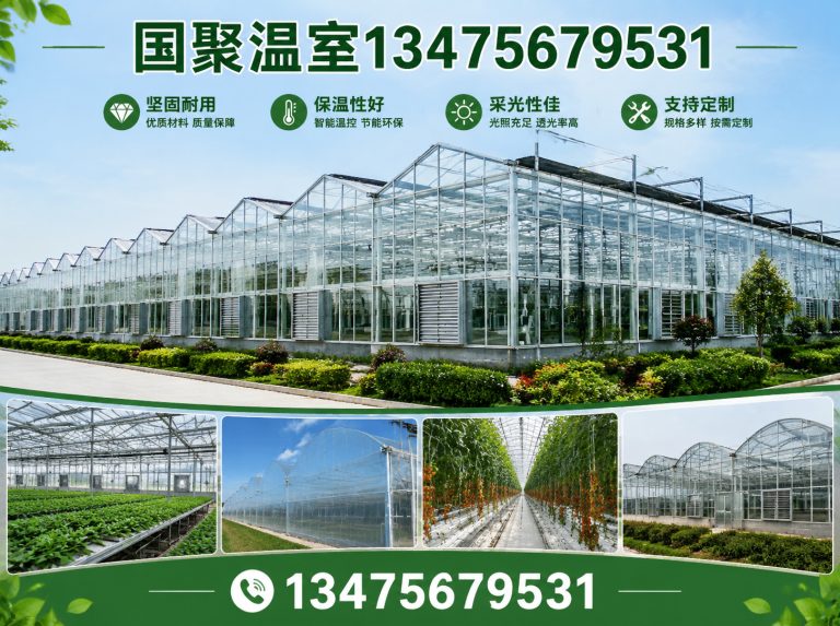 奎文区连栋薄膜温室展示图