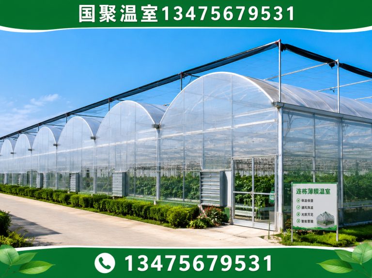 奎文区青州温室展示图