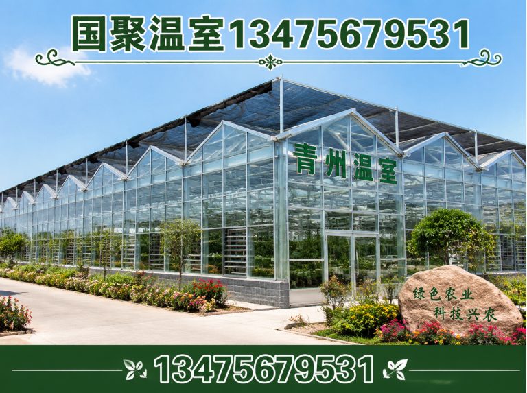 奎文区玻璃温室展示图